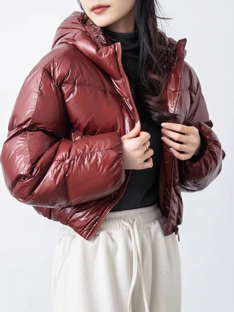Virale Shiny Puffer