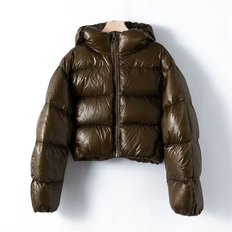 Virale Shiny Puffer