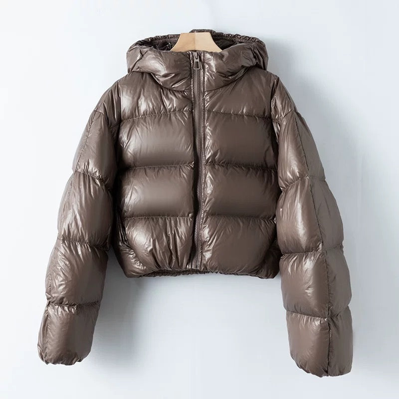 Virale Shiny Puffer