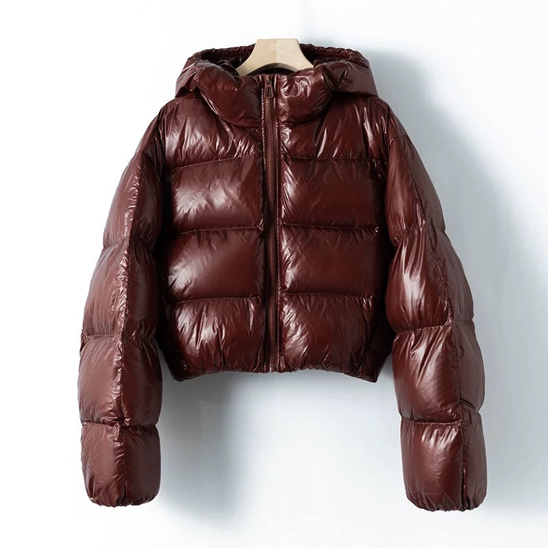 Virale Shiny Puffer
