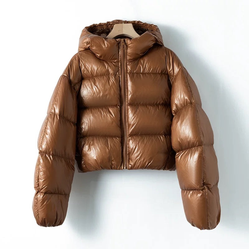 Virale Shiny Puffer