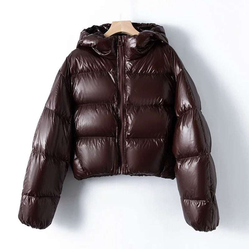 Virale Shiny Puffer
