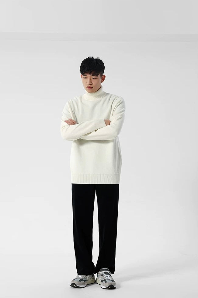 Eleganter Rollkragenpullover