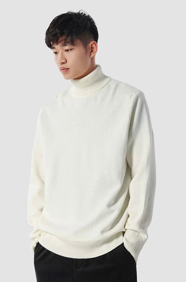 Eleganter Rollkragenpullover