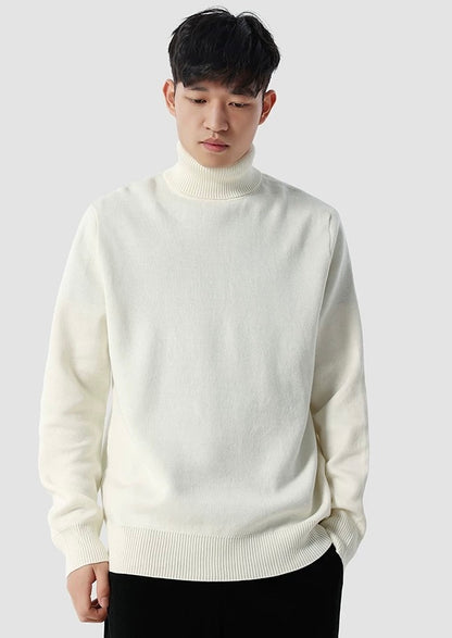 Eleganter Rollkragenpullover