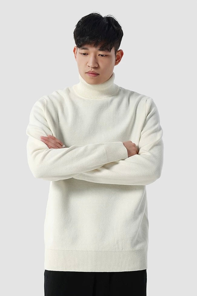 Eleganter Rollkragenpullover