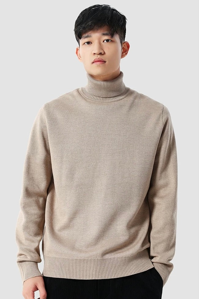 Eleganter Rollkragenpullover